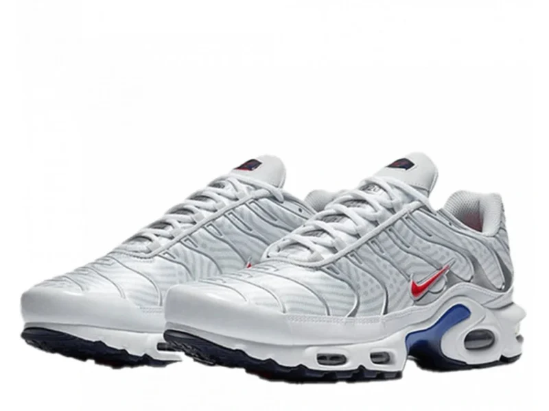 Nike Air Max Plus Euro Tour - Image 2