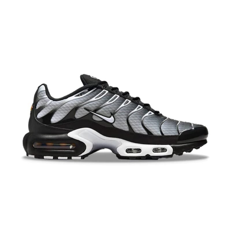 Nike Air Max Plus Black White Gradient